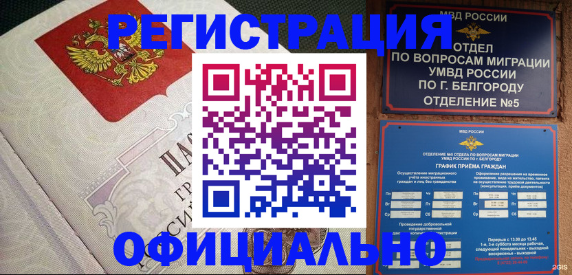 временная регистрация законно в Светлогорске